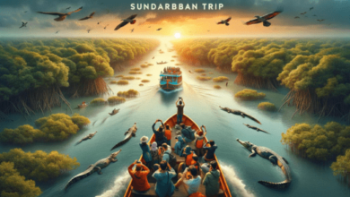 sundarban tour,sundarban travels,sundarban tour package,sundarban tour operator,sundarban trip