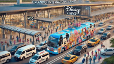 Disney World transportation