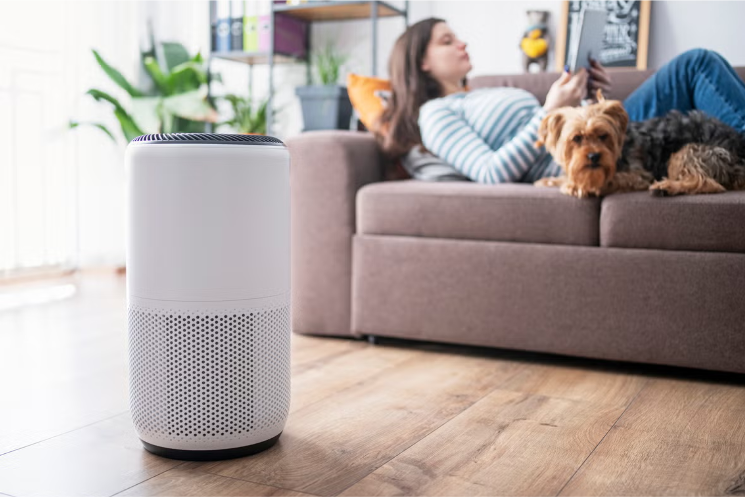 best air purifier