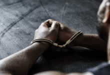 bail bonds