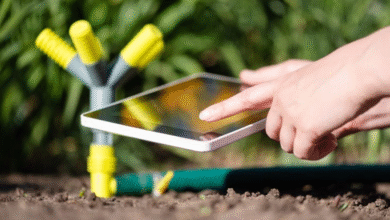 landscape contractors